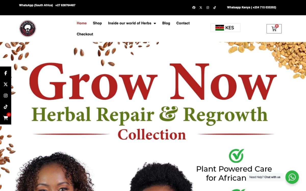 Born2fro natural hair care website by Gregory Shikutwa